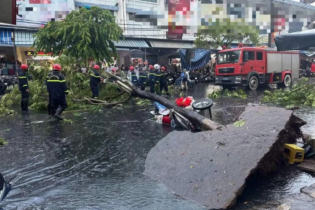 Đà Nẵng: Cây lim xẹt bật gốc, ngã đè trúng người phụ nữ bán nước - 1 Đà Nẵng: Cây lim xẹt bật gốc, ngã đè trúng người phụ nữ bán nước - 1