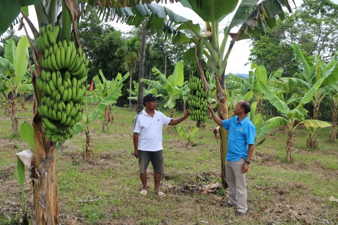 Nhiều hộ dân thoát nghèo thành công, duy trì việc làm và thu nhập ổn định khi dịch bệnh diễn biến phức tạp nhờ nguồn vốn vay ưu đãi