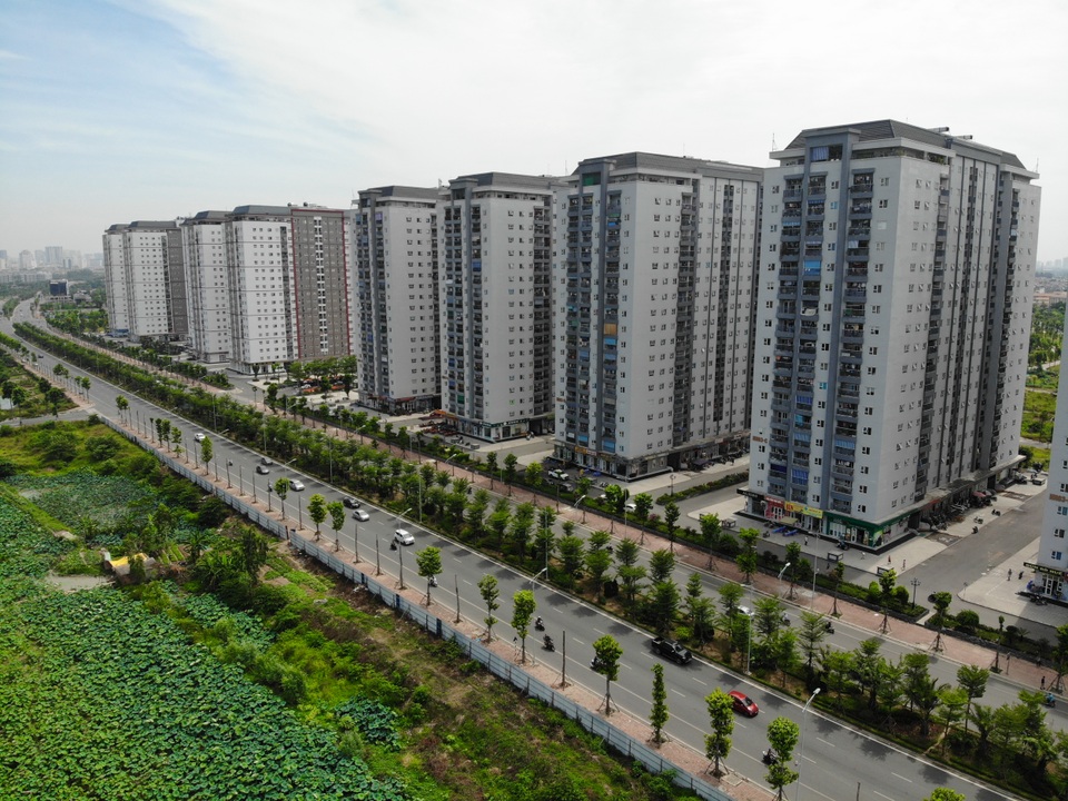 Hàng loạt cây xanh chết khô trên con đường đẹp nhất nhì Hà Nội - 11 Hàng loạt cây xanh chết khô trên con đường đẹp nhất nhì Hà Nội - 11