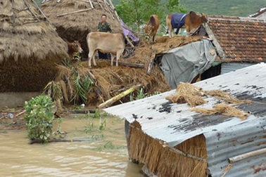 Nam Trung Bộ lại gánh thiệt hại do mưa lũ 