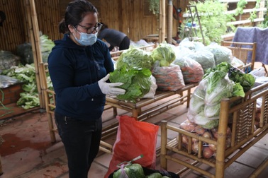 Người dân Đắk Lắk hỗ trợ hàng tấn rau sạch tiếp tế Đà Nẵng chống dịch