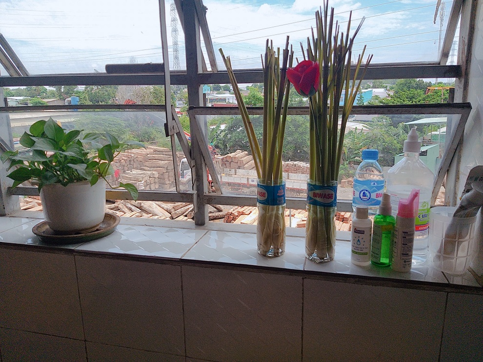Hành trình đi cách ly ý nghĩa và tâm thế lạc quan của một nữ F0 - 5 Hành trình đi cách ly ý nghĩa và tâm thế lạc quan của một nữ F0 - 5