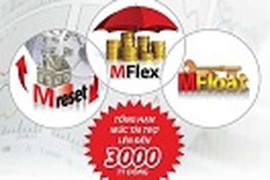 Du học Úc cùng Đại học Monash