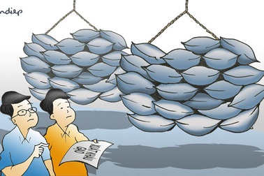 Bài toán xuất khẩu gạo và một câu chuyện cũ