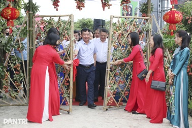 Hải Dương khai hội mùa vải, lô vải thiều đầu tiên xuất sang Úc, Nhật Bản