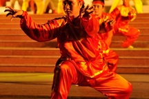 Liên hoan quốc tế Võ cổ truyền Việt Nam lần 7: Tinh hoa võ học khắp năm châu hội tụ