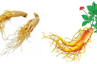 TPCN Anti-U100 – Hỗ trợ điều trị ung thư: Sản phẩm Việt cho người Việt