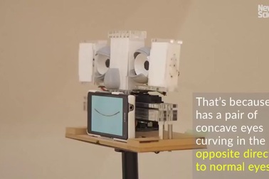 Rô-bốt có đôi mắt dõi theo bạn giống như Mona Lisa