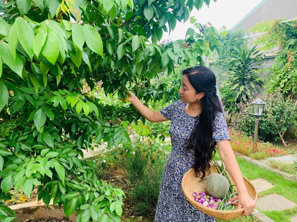 Vườn trồng rau, nuôi cá đẹp như tranh của người chồng tặng vợ ở Đồng Nai - 7 Vườn trồng rau, nuôi cá đẹp như tranh của người chồng tặng vợ ở Đồng Nai - 7