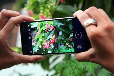 5 điểm thu hút khó cưỡng của Nokia 5