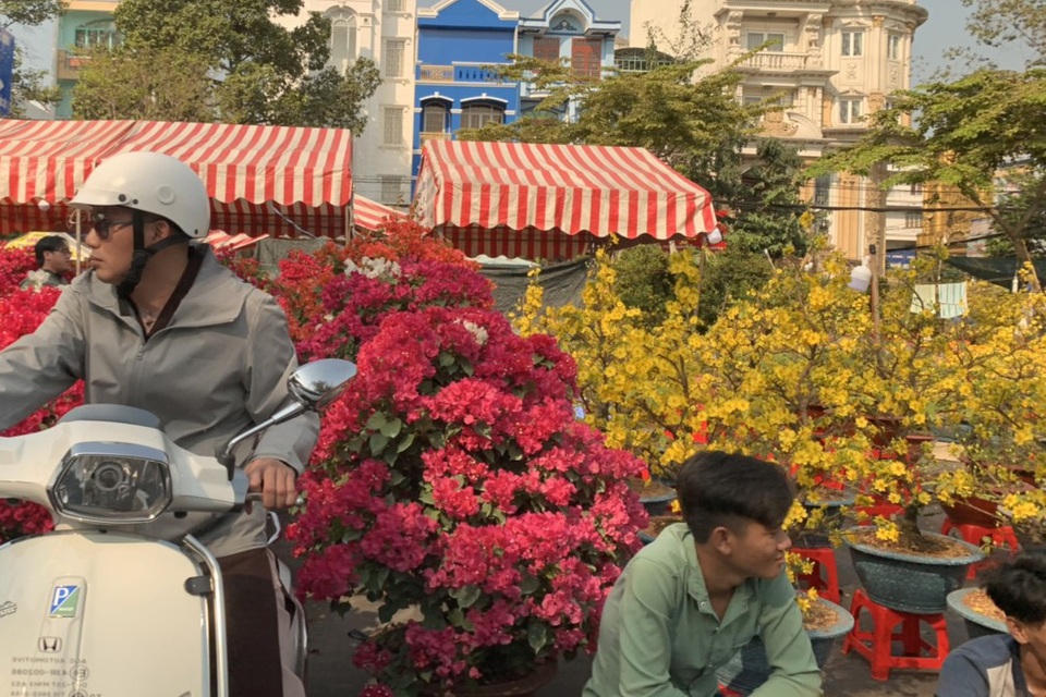 Tiểu thương quyết không giảm giá hoa dù cận Tết - 3 Tiểu thương quyết không giảm giá hoa dù cận Tết - 3
