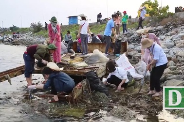Hưởng ứng trào lưu "ChallengeForChange" hơn 500 thanh niên đến đảo Lý Sơn dọn rác