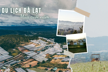 Cuối năm, giới trẻ lên Đà Lạt hưởng tiết trời se lạnh