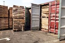 TPHCM: Nhiều doanh nghiệp cố tình khai sai tên hàng để trốn thuế