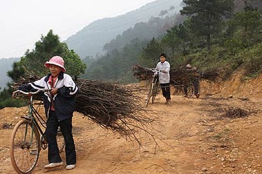 Trên 1.000 tỷ đồng hỗ trợ các huyện nghèo vùng Tây Bắc