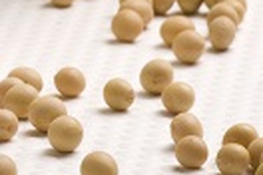 Sữa đậu nành - cho trái tim tràn đầy sức sống