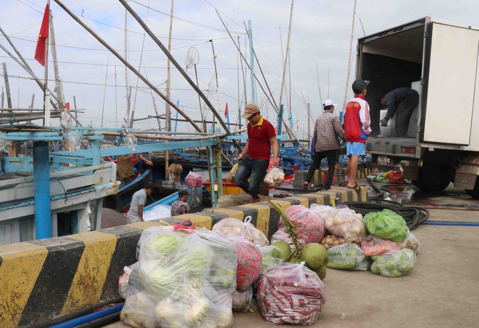 Phú Yên: Hàng trăm tàu cá của ngư dân háo hức vươn khơi đầu năm - 1 Phú Yên: Hàng trăm tàu cá của ngư dân háo hức vươn khơi đầu năm - 1