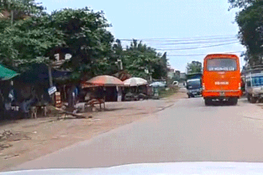 Say rượu lái xe, hai thanh niên đâm thẳng vào xe tải