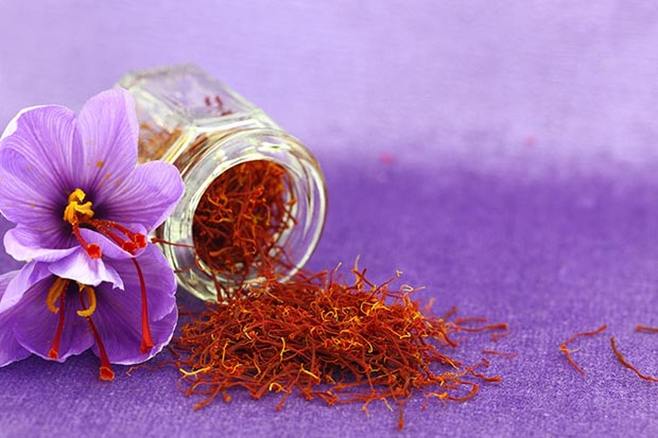 Bí mật thu hoạch những bông hoa cho thứ đắt đỏ… hàng trăm triệu đồng kg - 5 Bí mật thu hoạch những bông hoa cho thứ đắt đỏ… hàng trăm triệu đồng kg - 5