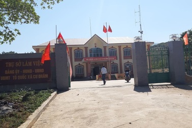 Chủ tịch, Trưởng Công an xã bắt gỗ lậu rồi đem... “cho không” (!)