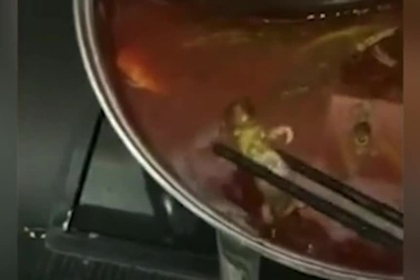 Thực khách “thất kinh” khi thấy xác chuột chết trong nồi lẩu của nhà hàng Trung Quốc