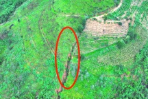 Phát hiện vết nứt chạy dài trên đồi ở Lâm Đồng