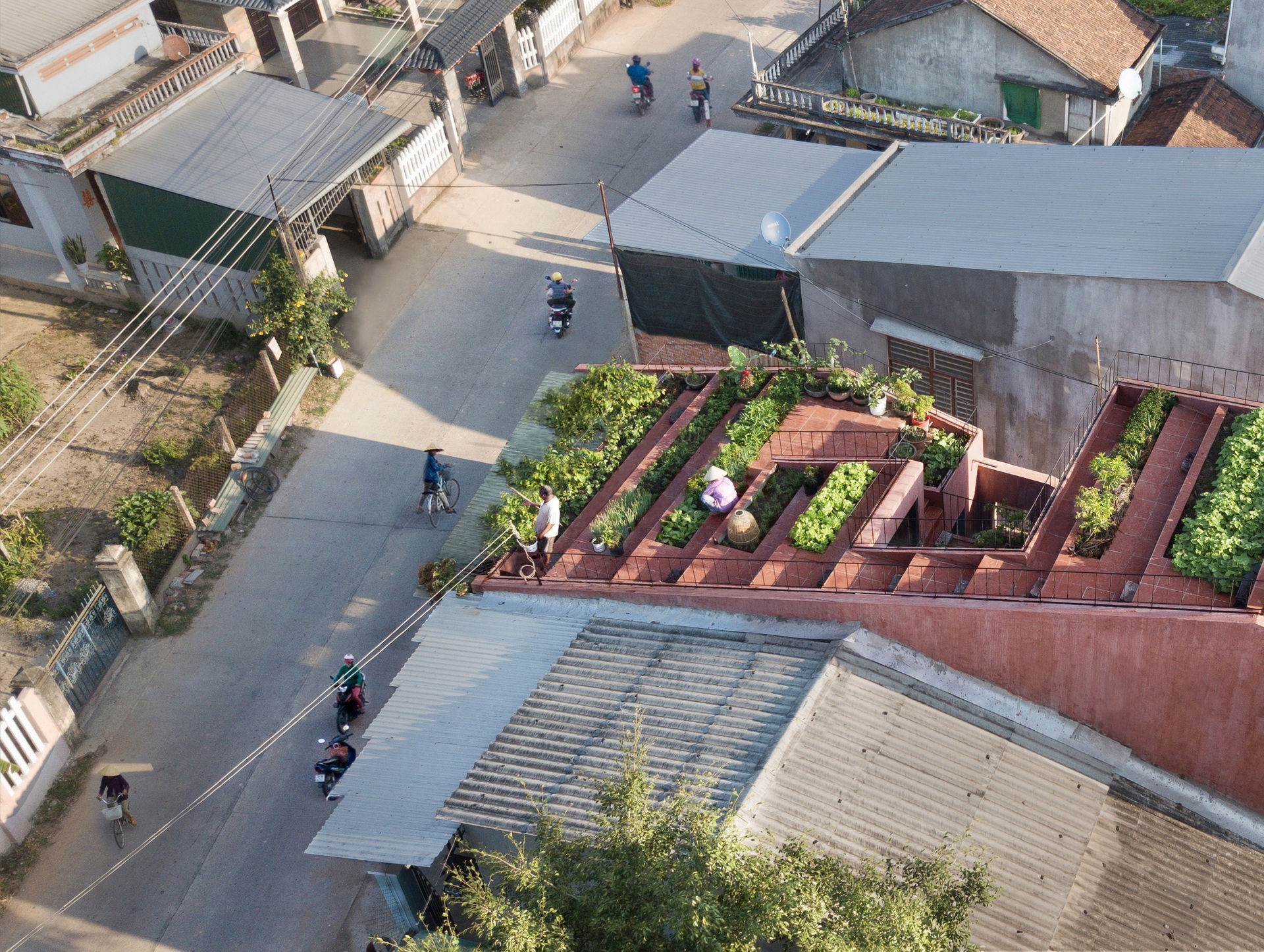 Căn nhà đậm nét làng quê với ruộng bậc thang trên mái ở Quảng Ngãi