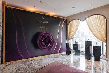 Synactif - Hành trình hướng tới vẻ đẹp tựa chạm khắc