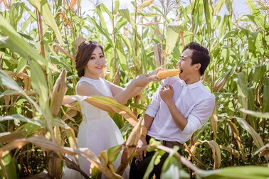 Bộ ảnh cưới giữa cánh đồng ngô của cặp đôi từng yêu xa cả ngàn cây số
