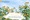 Về Ecopark ngắm cánh đồng hoa dã quỳ ngập tràn sắc vàng giữa trời đông
