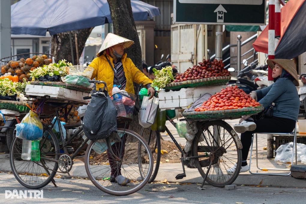 Nhót chín vỉa hè 100.000 đồng/kg, chủ vườn hái từng trái nâng như trứng - 4 Nhót chín vỉa hè 100.000 đồng/kg, chủ vườn hái từng trái nâng như trứng - 4