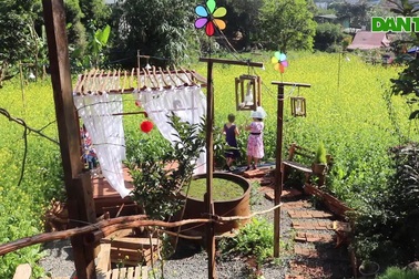 Vườn hoa cải của chàng trai 9X trên phố núi