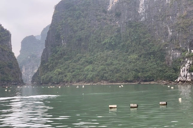 Cục Di sản Văn hóa yêu cầu báo cáo vụ rác thải bẩn tràn lan vịnh Hạ Long