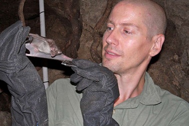 Nọc độc dơi “ma cà rồng” tự nhiên có thể hỗ trợ bào chế thuốc mới