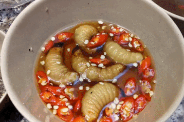 Rùng mình 5 món ăn sống ở Việt Nam khiến khách Tây “khiếp sợ”