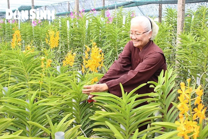 TP.HCM: Phấn đấu hoàn thành nhiệm vụ xây dựng nông thôn mới - Ảnh 1. TP.HCM: Phấn đấu hoàn thành nhiệm vụ xây dựng nông thôn mới - Ảnh 1.