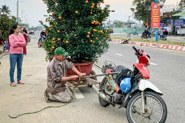 Chở hoa Tết kiếm 200.000 đồng, coi chừng bị phạt gấp 4 lần