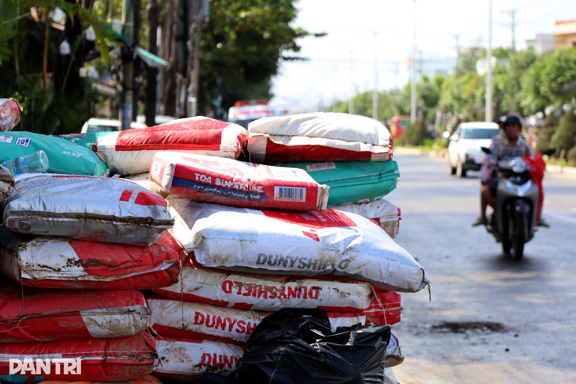 Nha Trang sau khi lũ rút - 5