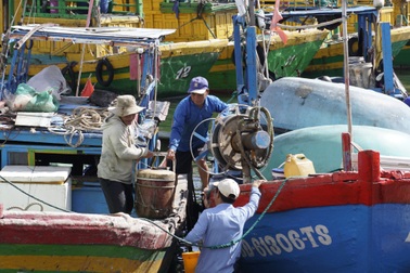 Hỗ trợ gần 9 tỷ đồng tới các chủ tàu không đủ điều kiện khai thác thủy sản