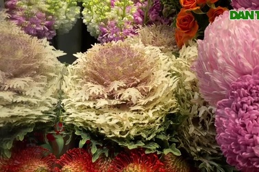 Nhiều hoa "độc", lạ đổ bộ về TPHCM