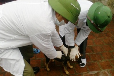 Thanh Hóa: Thêm 1 trường hợp tử vong vì bệnh dại