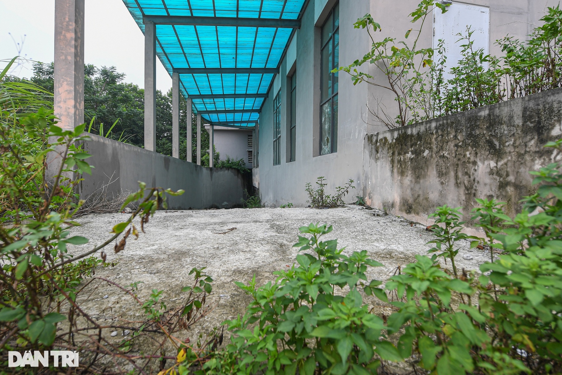 Khu tái định cư trăm tỷ: Nơi để cỏ mọc, chỗ nuôi gà ở Hà Nội - 3