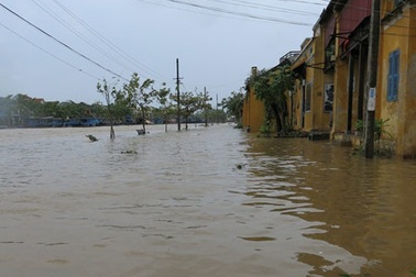 Thương quê hương lũ bạc màu…