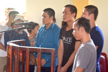 Triệt hạ 3 cây sa mu dầu, nhóm lâm tặc hầu toà