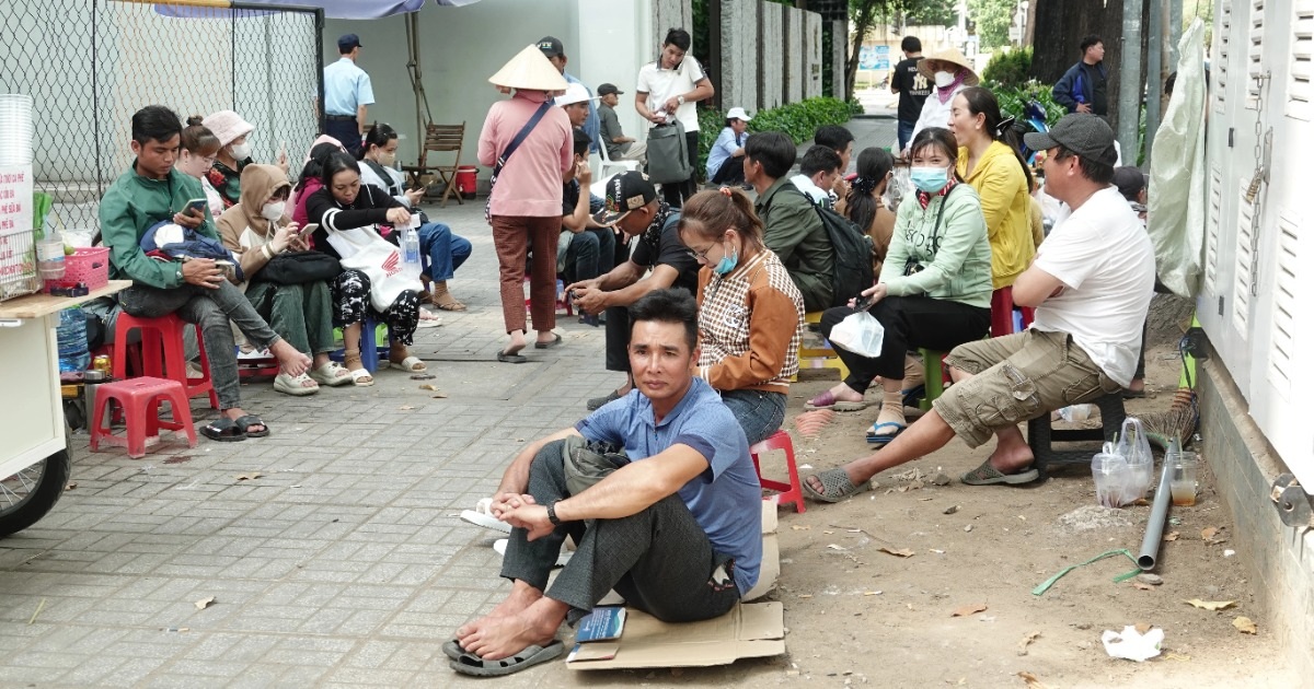 dantri.com.vn