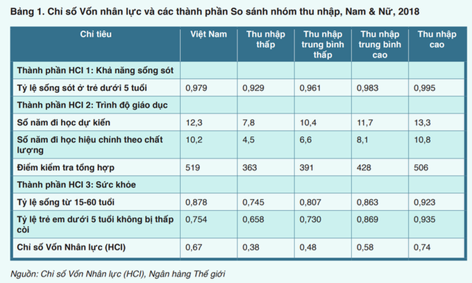 World Bank: Việt Nam nỗ lực trở thành con rồng trỗi dậy ở châu Á cả về kinh tế, xã hội và giáo dục - Ảnh 1.