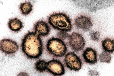 Nguy cơ xuất hiện biến chủng mới lây lan hơn Delta, chết chóc hơn Ebola