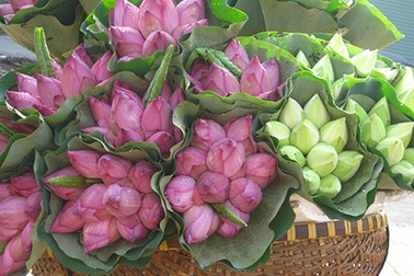 Sau quốc hoa là... quốc phục 