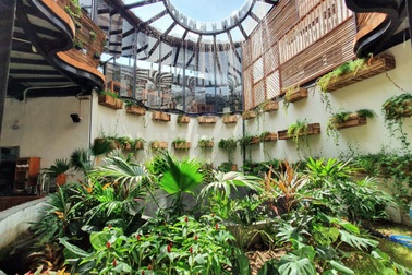 4 quán cà phê xanh mát như khu vườn nhiệt đới giữa phố biển Nha Trang