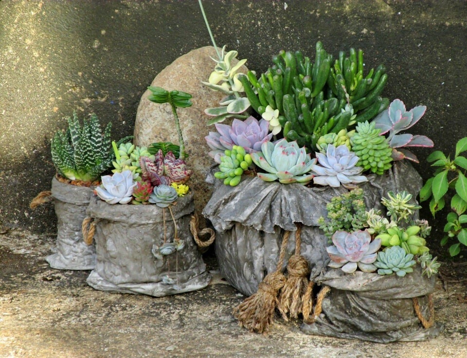 Độc đáo khu vườn ve chai của chị gái Lâm Đồng - 9 Độc đáo khu vườn ve chai của chị gái Lâm Đồng - 9